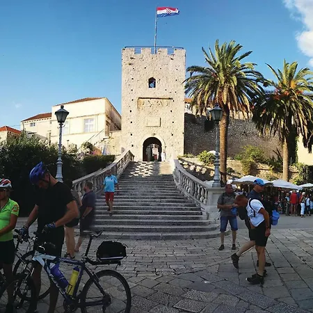 Bb Vi * プリズバ